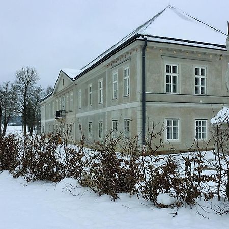 Aparthotel Zámek Dobrohoř Exterior foto