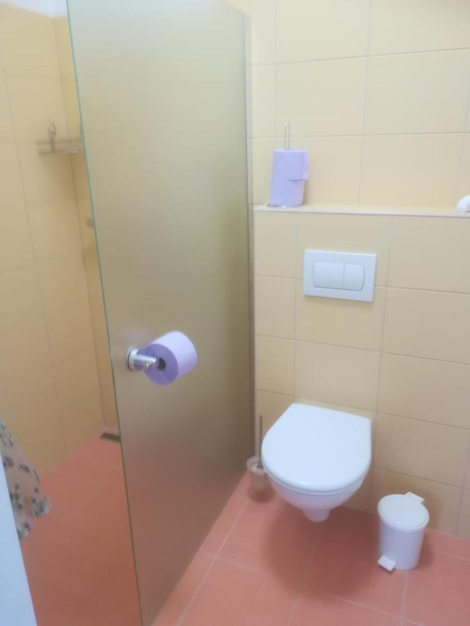 Aparthotel Zámek Dobrohoř Exterior foto